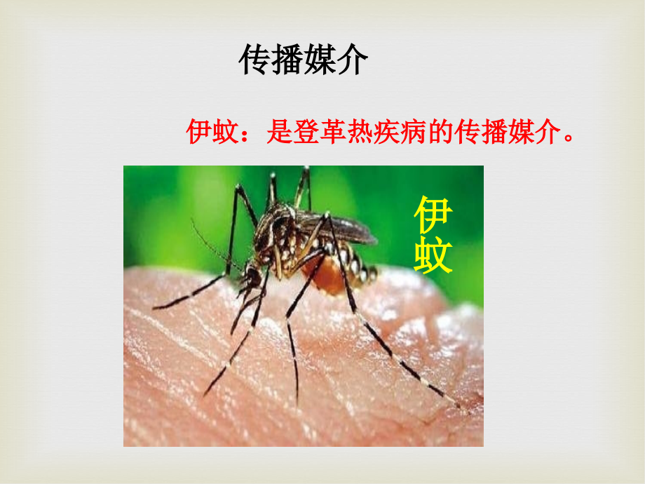 健康与卫生班会.ppt_第3页