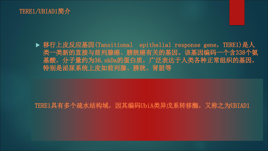 基因诊断与治疗.ppt_第3页