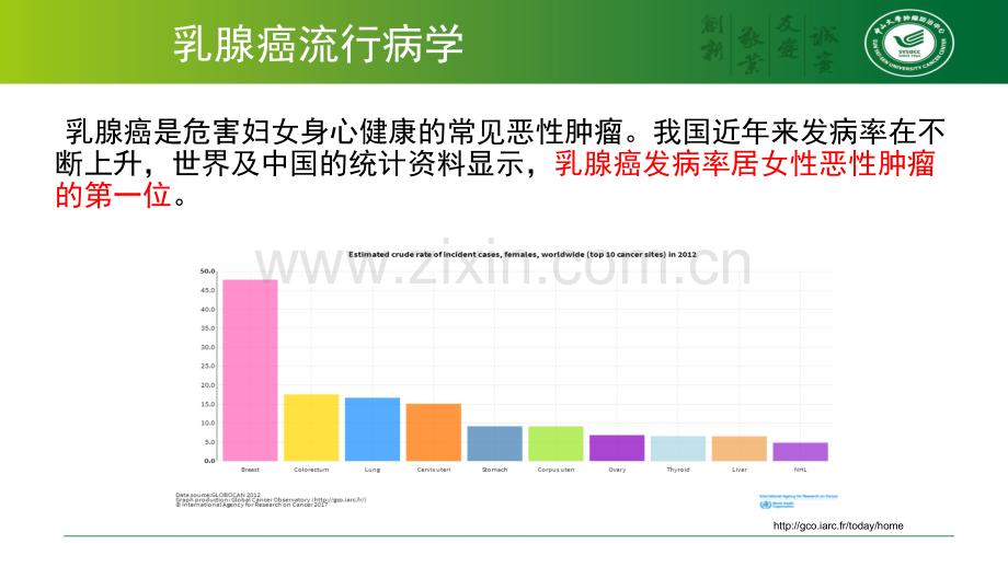 乳腺癌防治基础知识.ppt_第2页