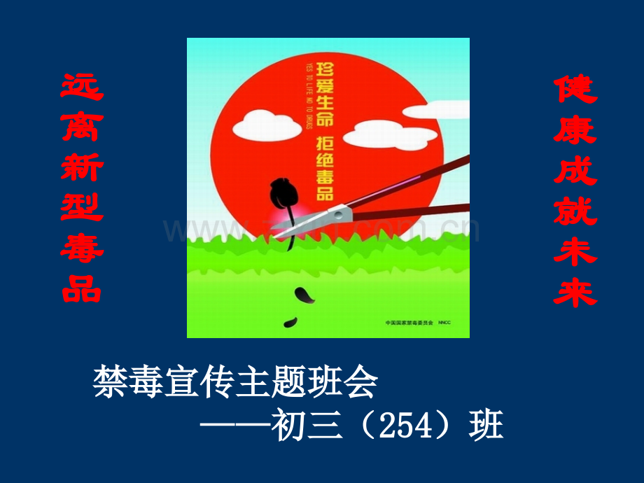 禁毒宣传主题班会.ppt_第1页