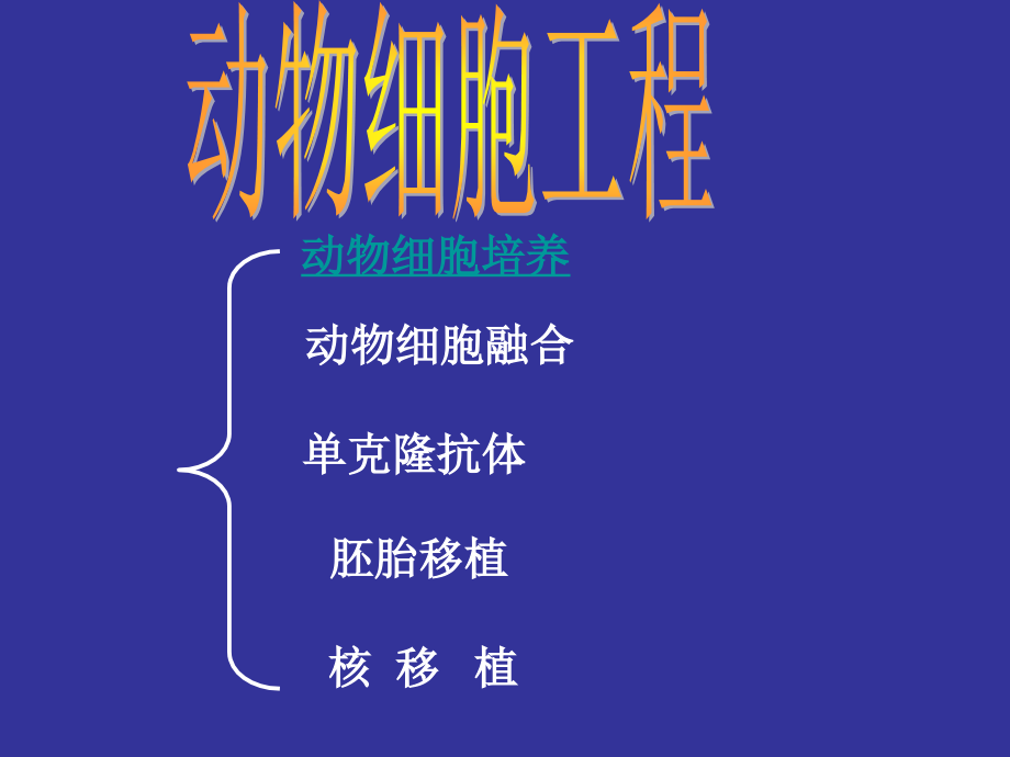 生物：2.2《动物细胞工程》复习课件(新人教版选修3)教学教材.ppt_第2页