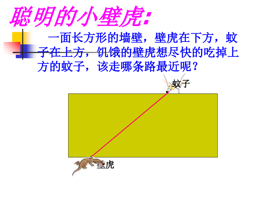 4.3-立体图形的表面展开图(1)教学内容.ppt_第2页