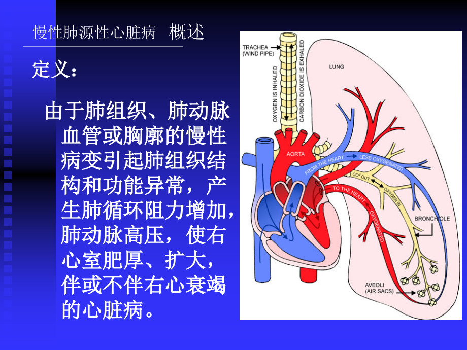 慢性肺源性心脏病上课讲义.ppt_第3页