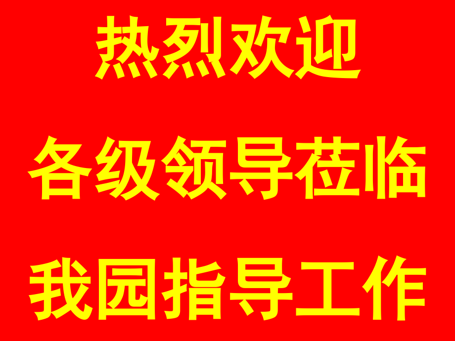 市教育局莅临我园ppt标准背景和字体颜色模板.pptx_第1页