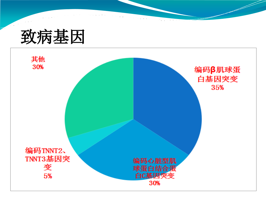 肥厚型心肌病陈石教学教材.ppt_第3页