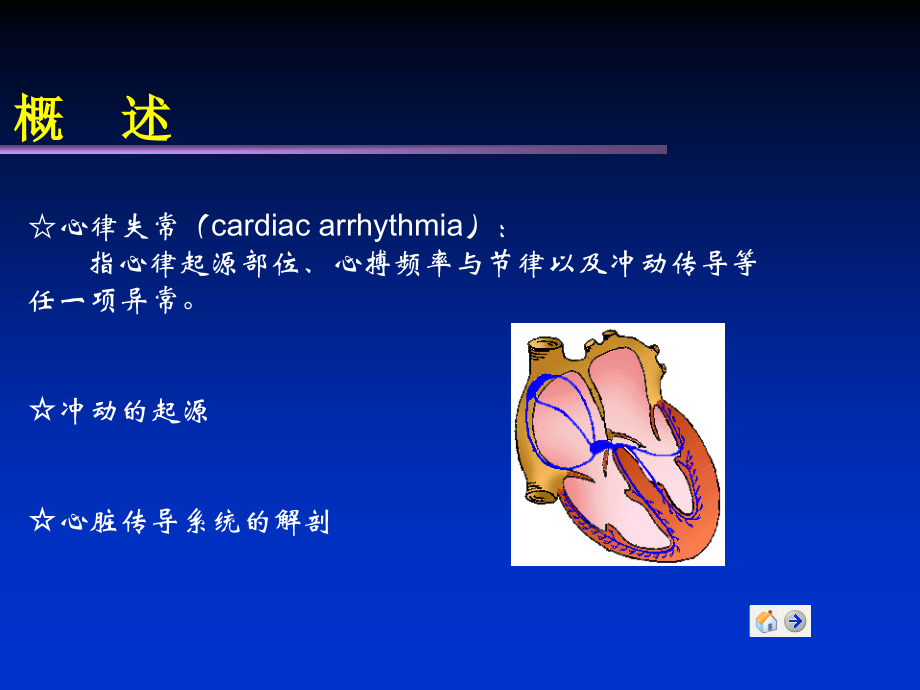 心内科--心律失常培训讲学.ppt_第3页