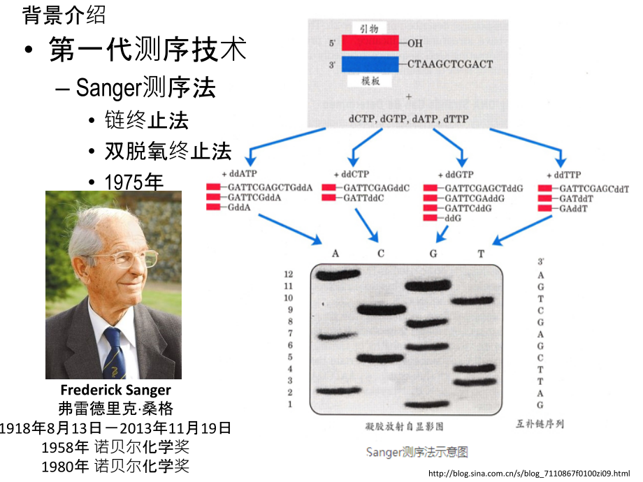 生物信息学-高通量测序技术及数据分析-陈润生院士说课材料.ppt_第3页