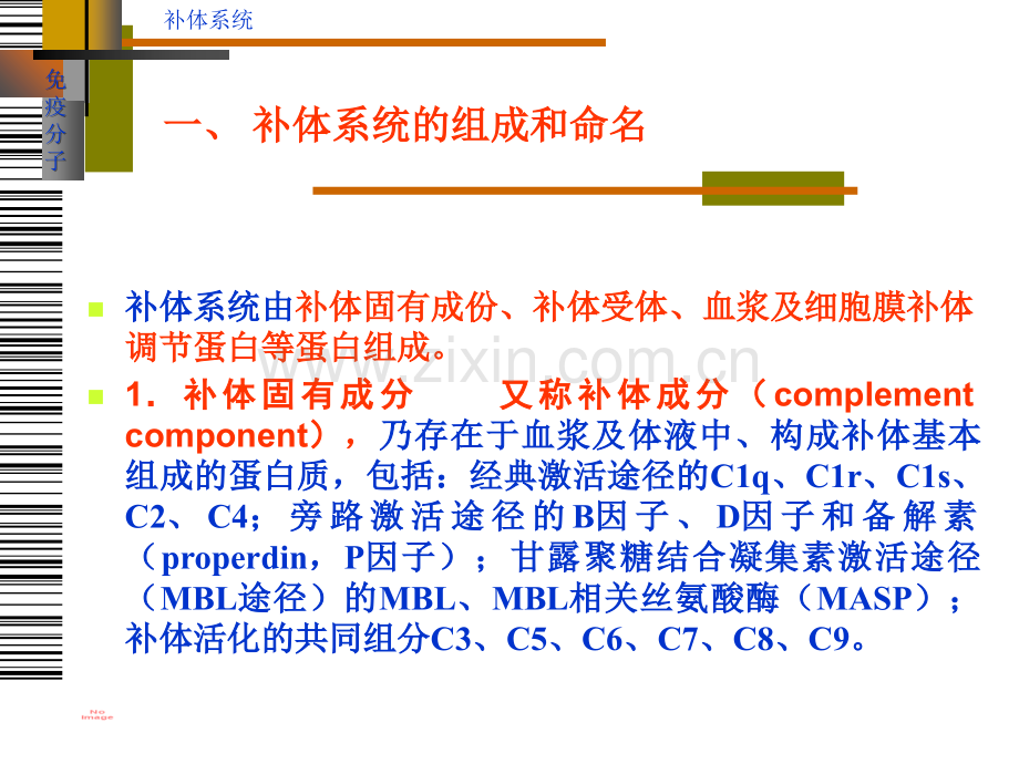 补体系统讲解学习.ppt_第2页