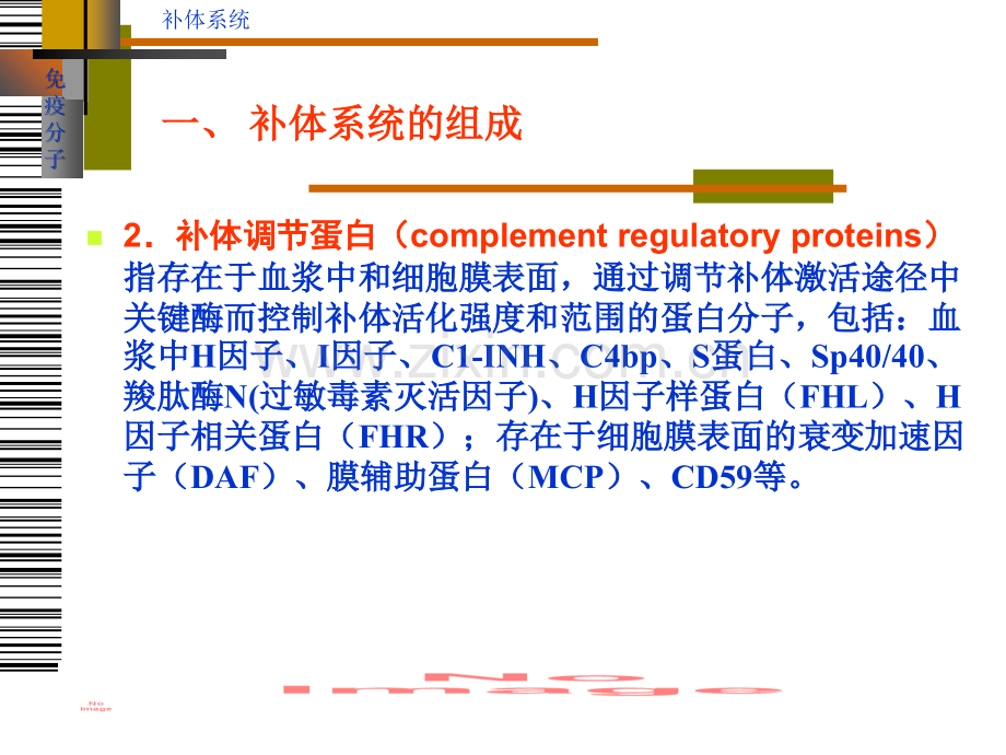 补体系统讲解学习.ppt_第3页