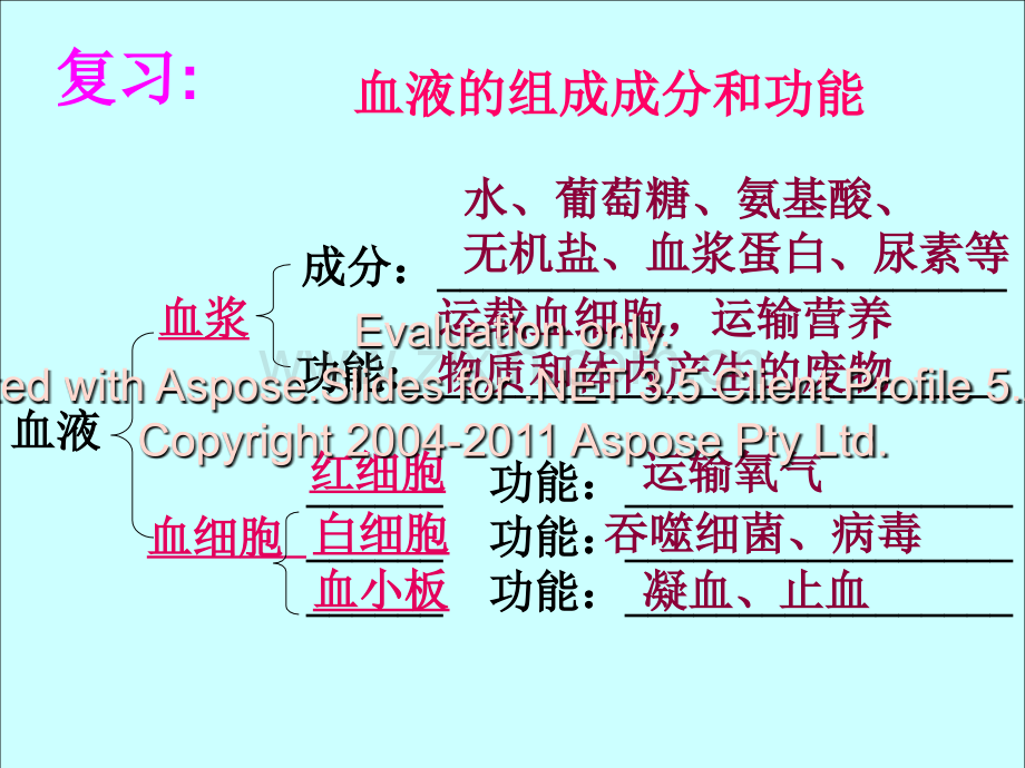 七年级生物下册-血流的管道—血管课件-人教新课标版教案资料.ppt_第2页