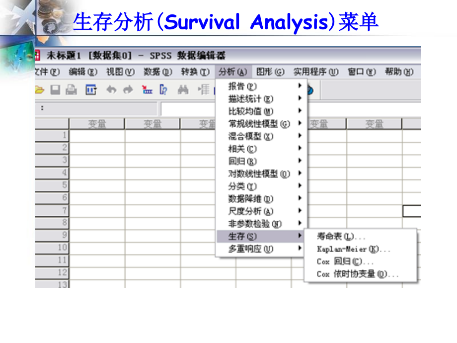 生存分析SPSS讲解学习.ppt_第2页