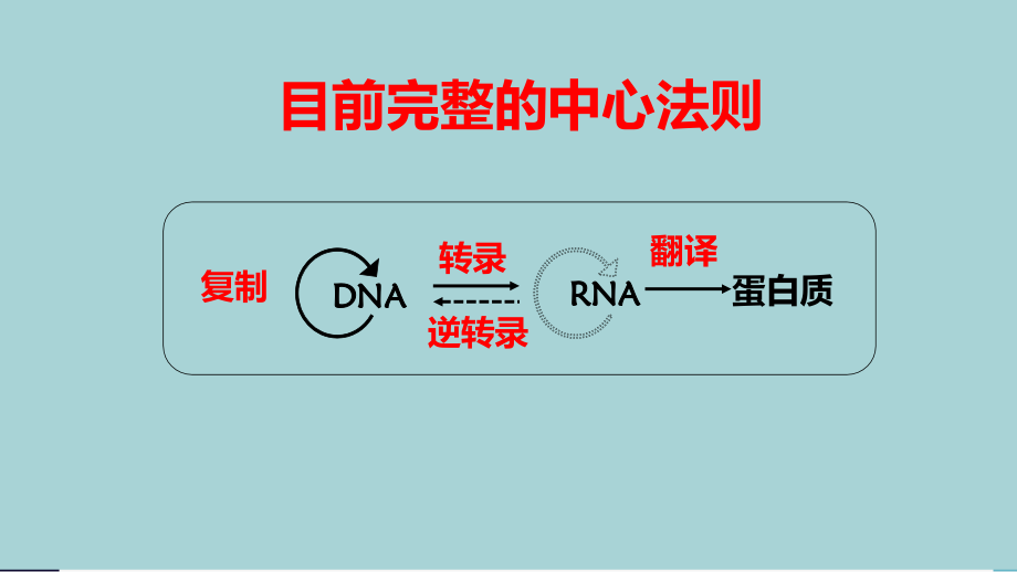 基因对性状的控制(珍藏版)教学提纲.ppt_第2页