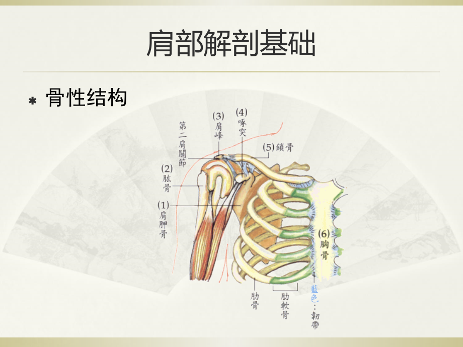 肩周疼痛肩关节周围炎只是课件.ppt_第3页