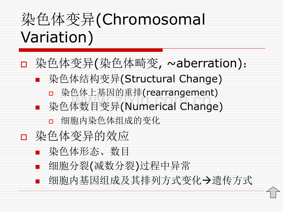 遗传学第六章染色体变异教学教材.ppt_第3页