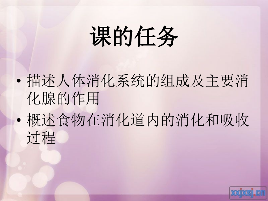 人体消化系统.ppt_第3页