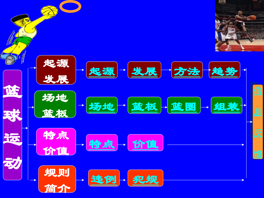 篮球运动基础知识上课讲义.ppt_第3页