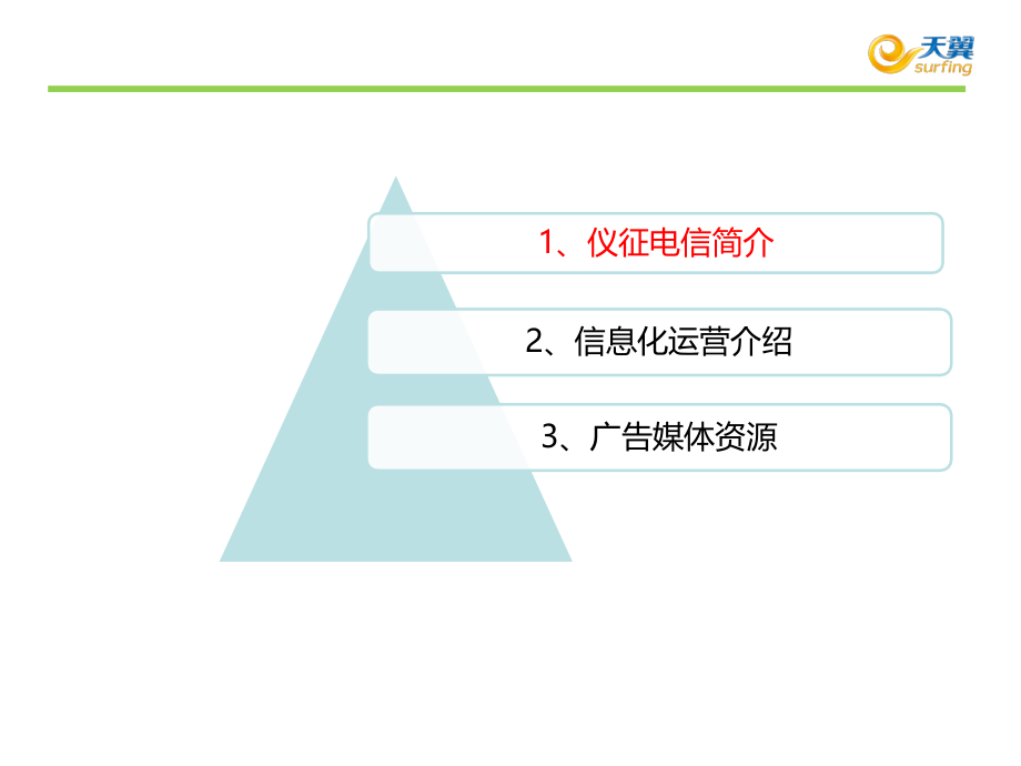 仪征电信汇报材料.pptx_第2页