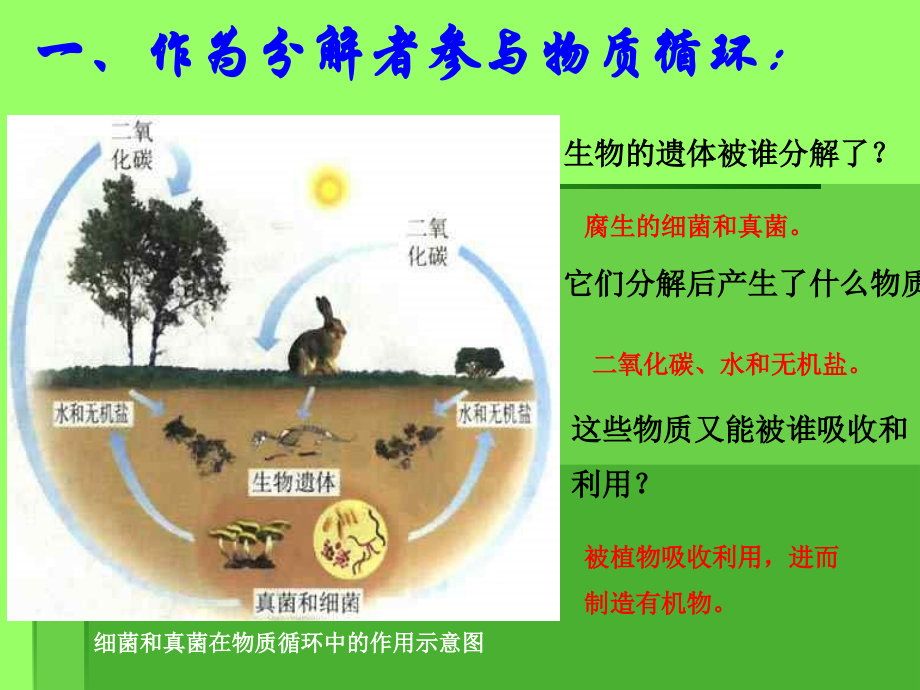 生物：第5单元第5章第1节-细菌和真菌在自然界中的作用课件(人教版七年级上)讲课讲稿.ppt_第3页