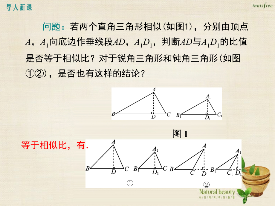 《相似三角形中的对应线段之比》教学教材.ppt_第3页