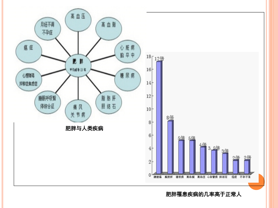 肠道微生物与肥胖9教学内容.ppt_第2页