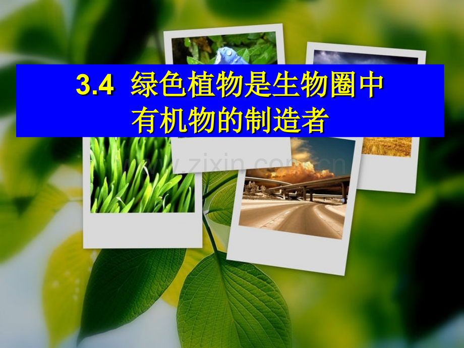 3.4《绿色植物是生物圈中有机物的制造者》课件教学文案.ppt_第1页