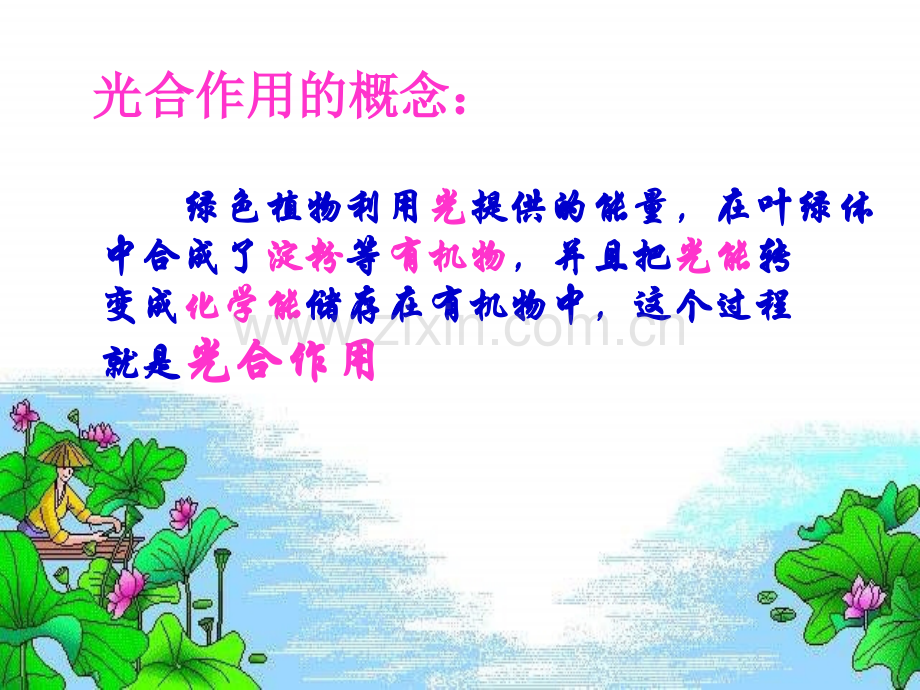 3.4《绿色植物是生物圈中有机物的制造者》课件教学文案.ppt_第3页