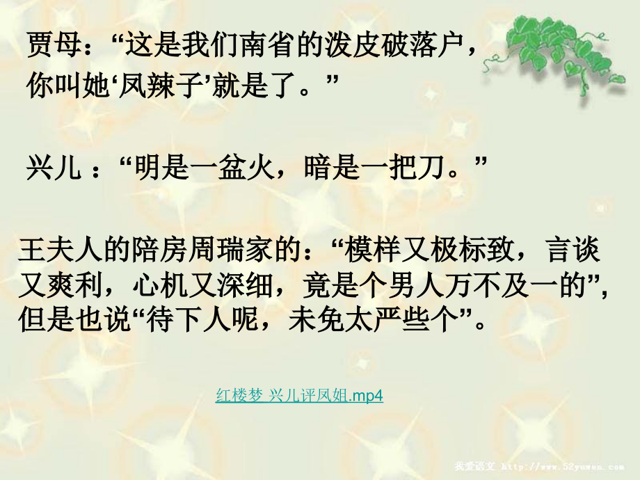 红楼梦(人物)详解说课讲解.ppt_第2页