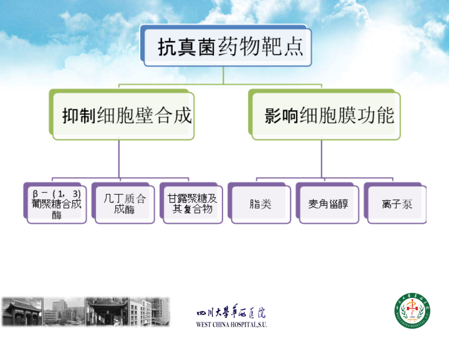 新型抗真菌药物上课讲义.ppt_第2页