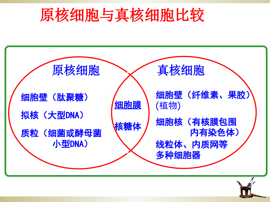 高中生物常见细胞有关知识汇总讲课教案.ppt_第2页