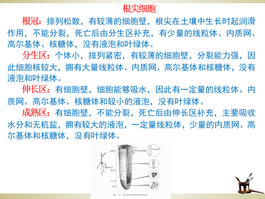 高中生物常见细胞有关知识汇总讲课教案.ppt_第3页