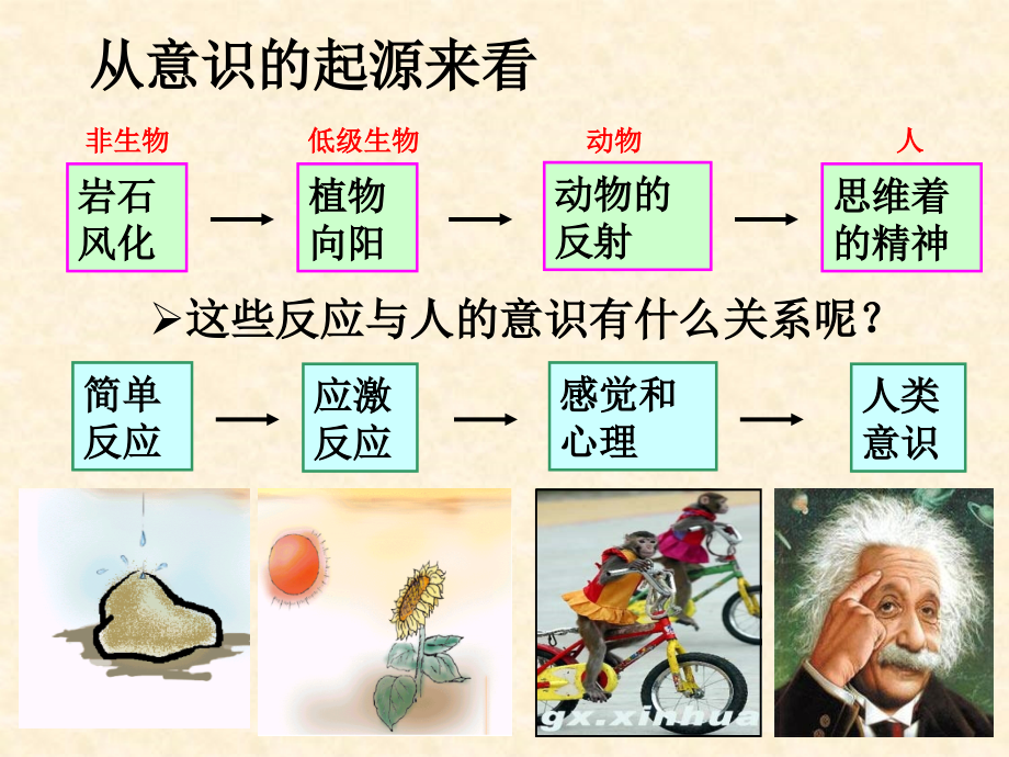 意识的本质课件教学内容.ppt_第3页