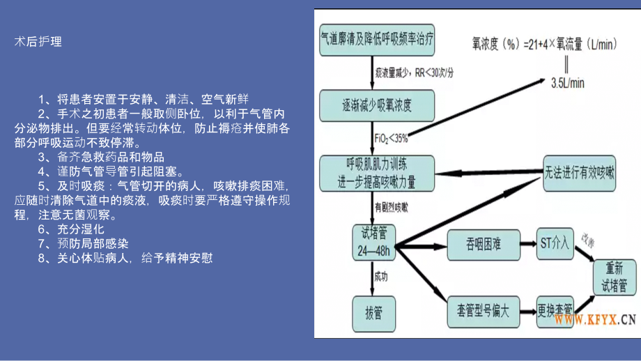 气管切开插管与吞咽障碍教学文稿.ppt_第3页