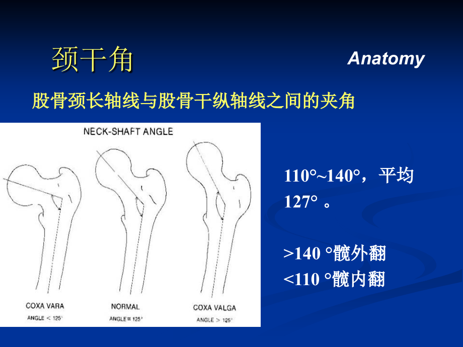 股骨颈骨折朱培训课件.ppt_第2页