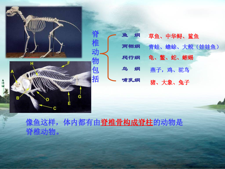 第5单元-第1章-第4节-鱼版只是课件.ppt_第3页