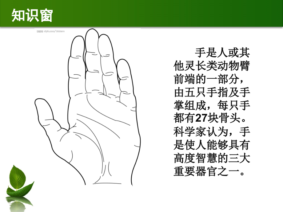 《会说话的手》PPT课件教程文件.ppt_第2页