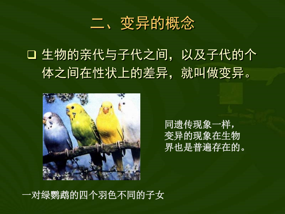 八年级下册人教版生物课件------生物的变异讲课稿.ppt_第3页