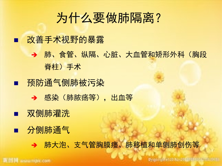 肺隔离技术PPT.ppt_第3页