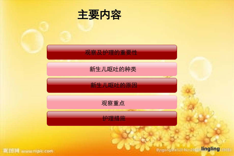 新生儿呕吐的观察护理.ppt_第2页