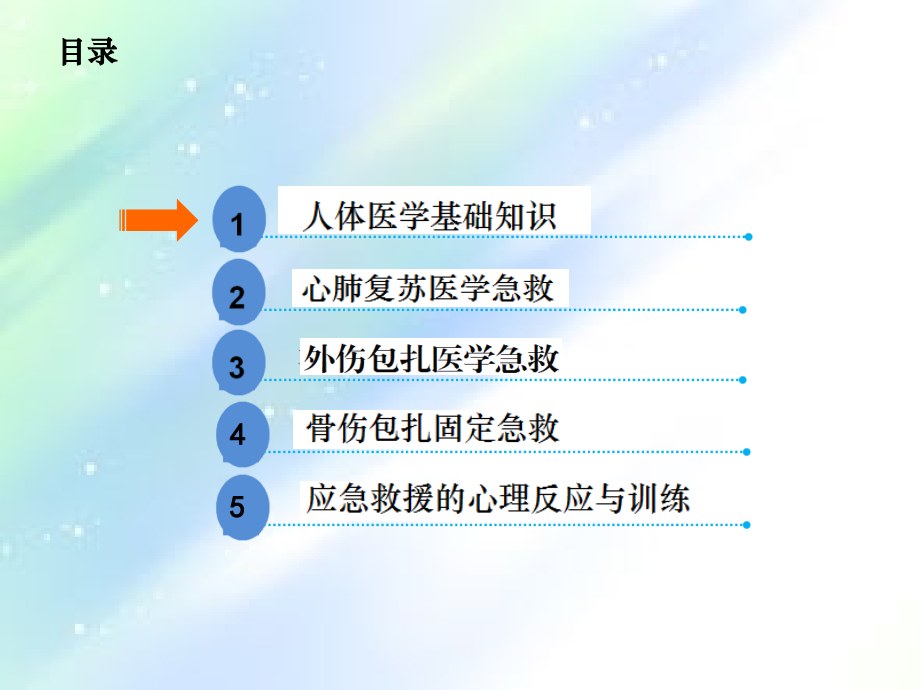 救护队员医疗急救培训教程.ppt_第2页