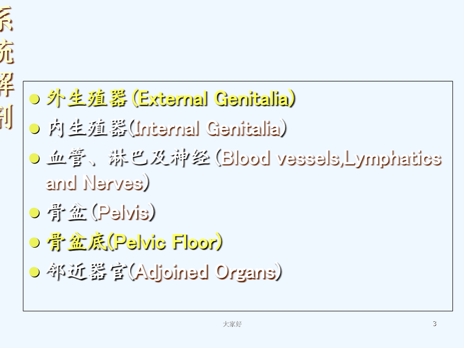女性生殖系统解剖-PPT.ppt_第3页