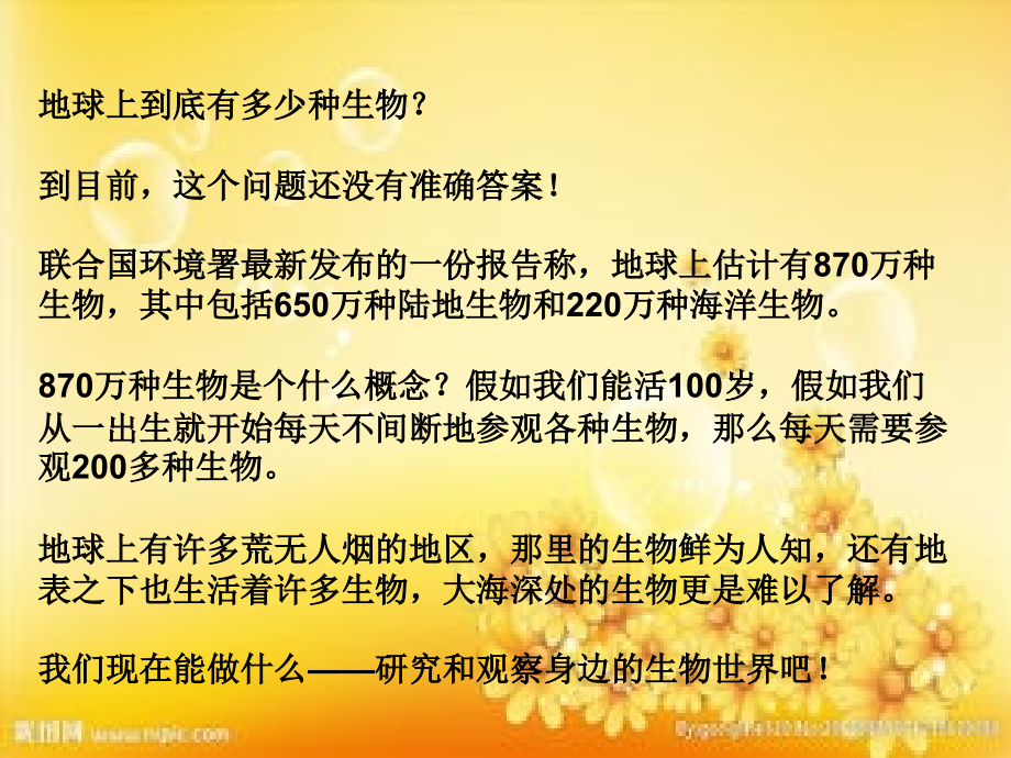 教科版科学六年级上册校园生物大搜索校园生物分布图.ppt_第2页