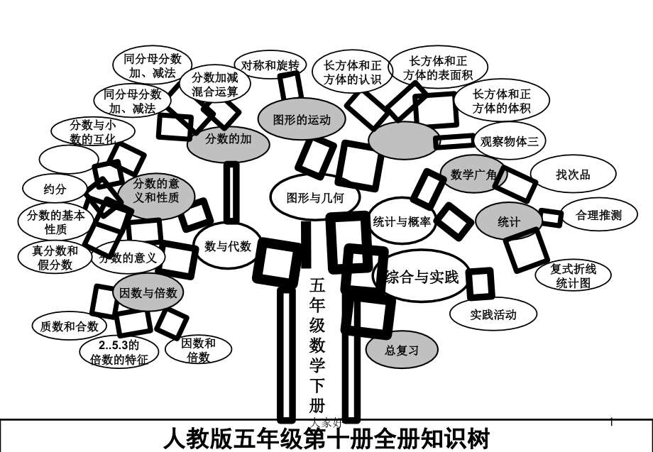 人教版五年级下册数学知识树.ppt_第1页