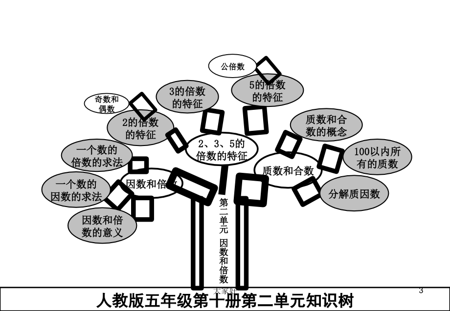 人教版五年级下册数学知识树.ppt_第3页