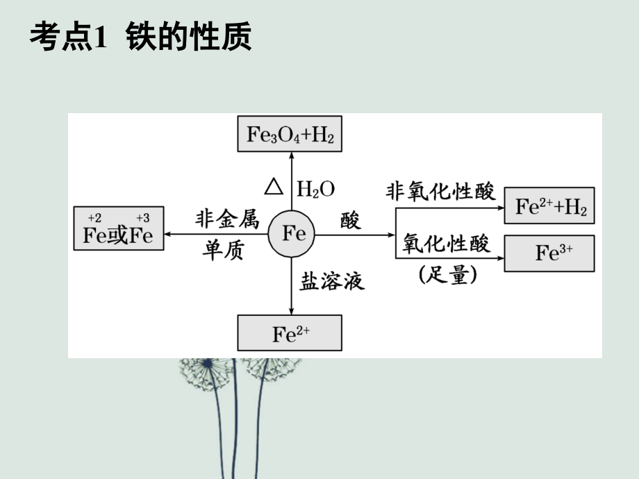 高三化学一轮复习——铁及其化合物.ppt_第3页