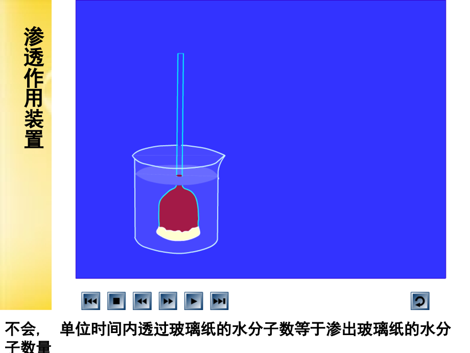 高二生物物质跨膜运输的实例-PPT.ppt_第2页