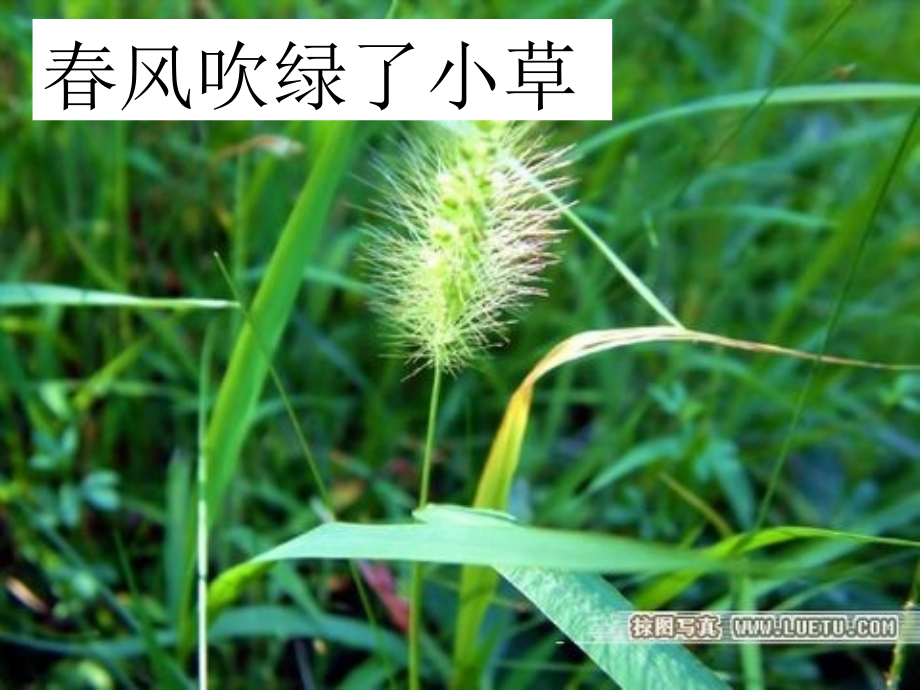 苏教版一年级下册练习2课件.ppt_第3页