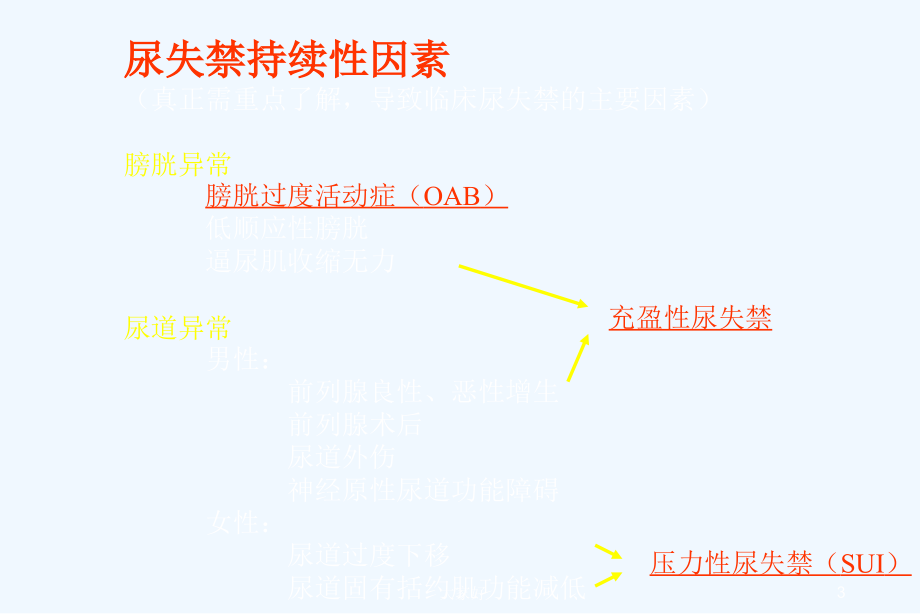 尿失禁分类与治疗-PPT.ppt_第3页