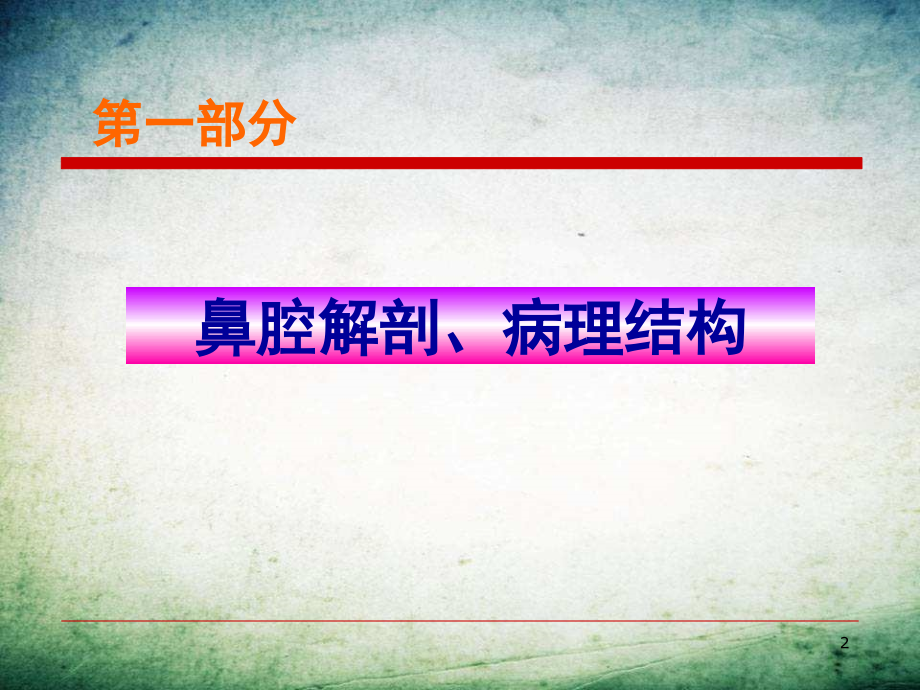 中医药与健康过敏性鼻炎-.ppt_第2页