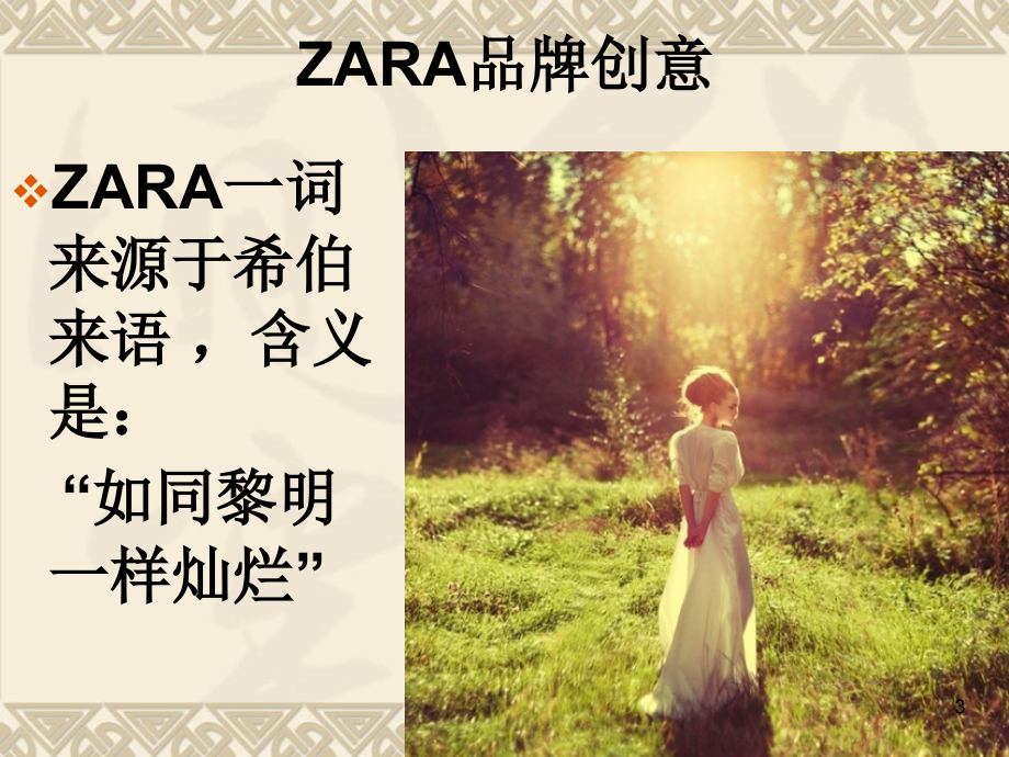 ZARA服饰营销策划案-经典营销策划推广方案案例.ppt_第3页