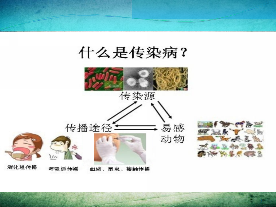 大班健康预防疾病-.ppt_第3页